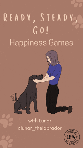 Dog Treats GIF