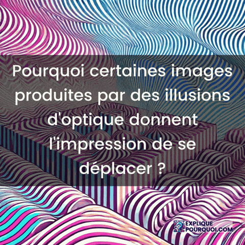 Illusions Doptique GIF by ExpliquePourquoi.com
