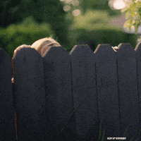 Dos Equis Watch GIF by Dos Equis Gifs to the World