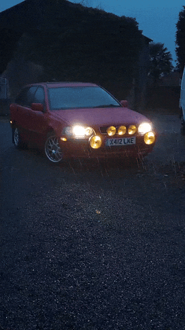 Animated GIF