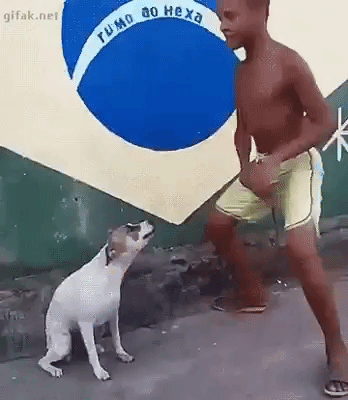 ioananastase funny funny gifs funny or die funny pics GIF