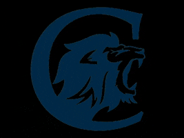 Optonex Ind & Com Bolivia GIF