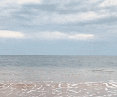 Beach Skimboard GIF by Hala Kahiki Boarding Co.