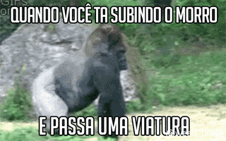 douglasmedeiros  GIF