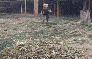 Table Top Lol GIF by America's Funniest Home Videos