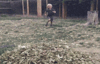 Free-funny GIFs - Get the best GIF on GIPHY Free-funny GIFs - Get the best GIF on GIPHY
