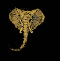 frame by frame animation GIF