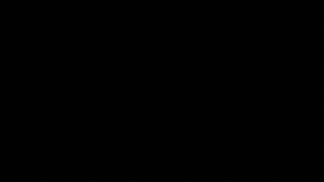 jelenabrkic zurich weihnachtsmarkt bellevue elvetia wienachtsdorf GIF