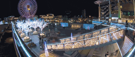 luizamadeucoutinho ferris whell GIF