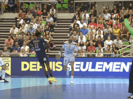 spanish yes GIF by Paris Saint-Germain Handball