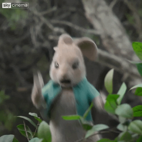 can't watch peter rabbit GIF by Sky