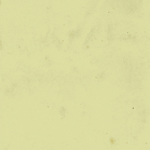 ginecologia-natural 2016 crowdfunding nido fondeadora GIF