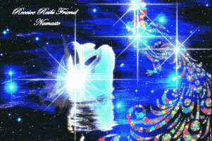 kevinschobertkio  GIF