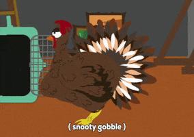 turkey feathers GIF by South Park 