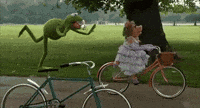 [Linked Image from media3.giphy.com]