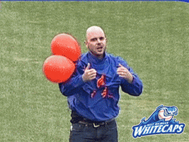 excited fun GIF by West Michigan Whitecaps 