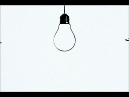 zeeshan  GIF