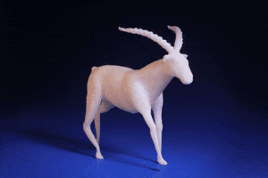fredtretout run horse princess stop motion GIF