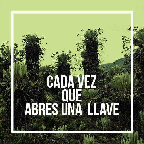 ambiente-y-sociedad  GIF