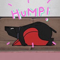 happy dog hump GIF by Ariel Victor