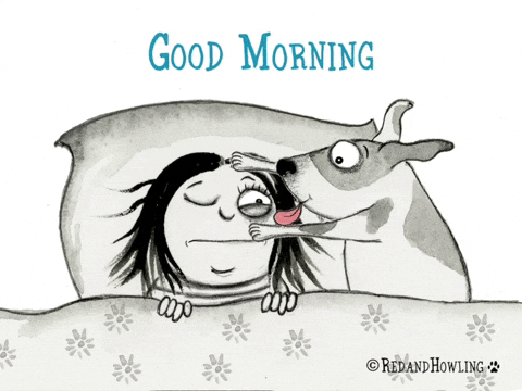 Goodmorninh GIFs - Get the best GIF on GIPHY