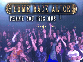 jimmyrector north carolina live music asheville come back alice GIF