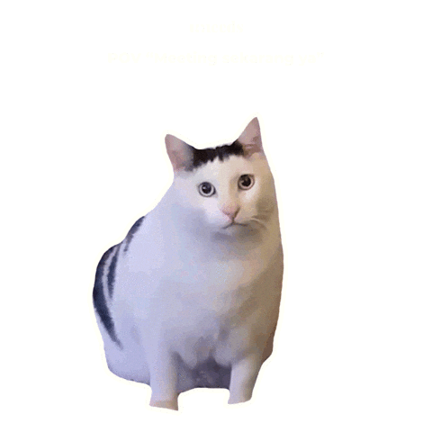 Cat Fun Sticker by UNEEDS