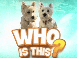 Who Is This What GIF