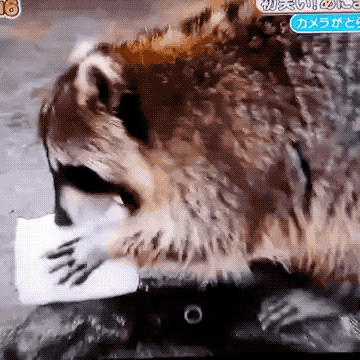 Sad GIF