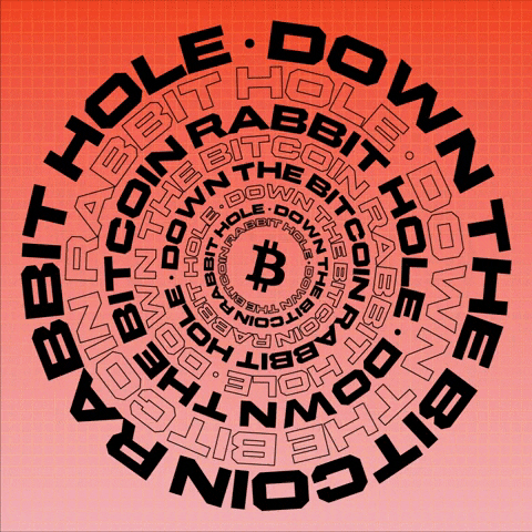 Bitcoin Crypto GIF by BlockFi