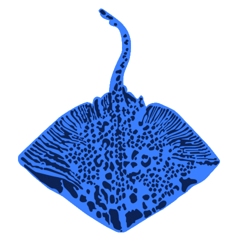 Panarea Sticker by Raya Summer Fest