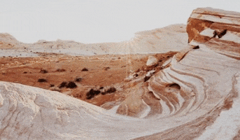 Roots + Ardor GIF