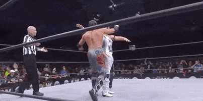 best friends wrestling