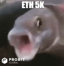 Fish Crypto GIF by ProBit Global