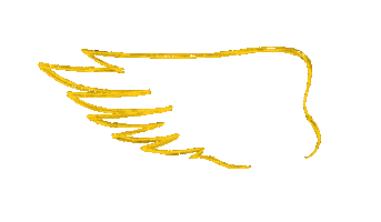 DEKALB Sticker