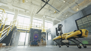 Spot Backflip GIF by BostonDynamics