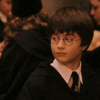 Harry Potter Movie GIFs