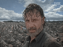 The Walking Dead Rick GIF by FOX International Channels