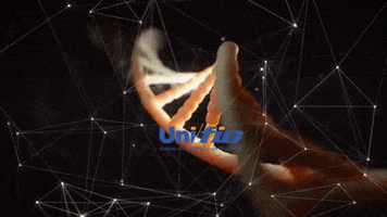lgnorcia GIF