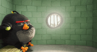 object object GIF by Angry Birds Movie