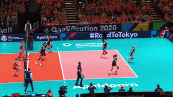 200.gif?cid=fc005b0870173b80fb1e436f26fd8038fc43aff585f686af&rid=200.gif&ct=g