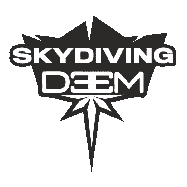 DEEM Flywear Sticker