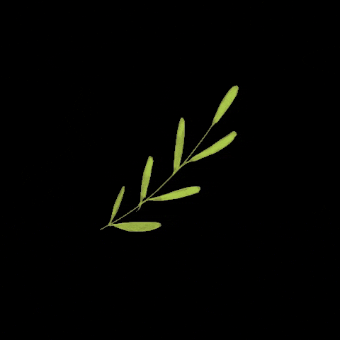 Deplant1 GIF