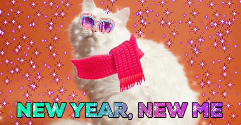 New Year Cat GIF by chuber channel - Find & Share on GIPHY