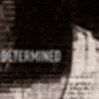 200.gif?cid=fc005b08755db885c66988ff6bba5c32bb814cf0b518c216&rid=200.gif&ct=g