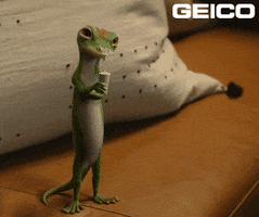 Drink Reaction GIF by GEICO