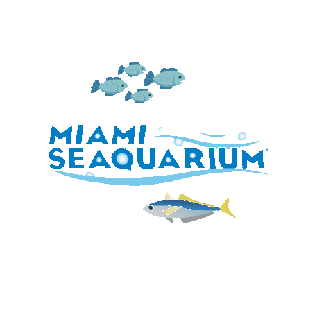Miami Seaquarium Sticker
