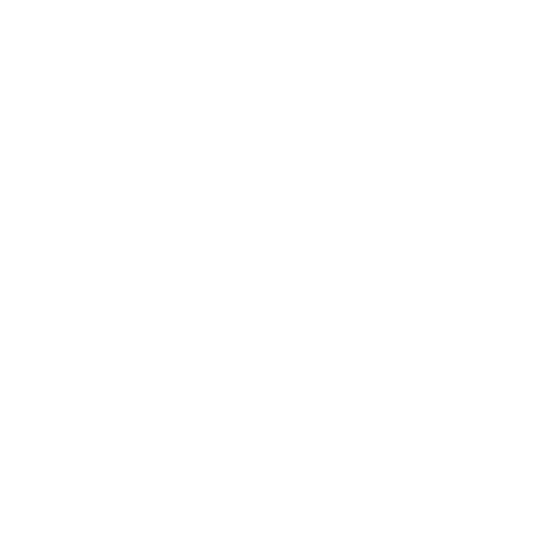 Alina Zerpa Sticker