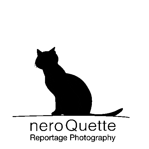 Black Cat Sticker by neroQuette Reportage Photography