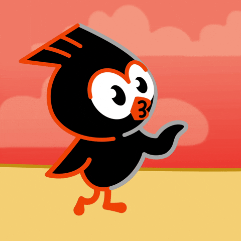 Birdeye GIF